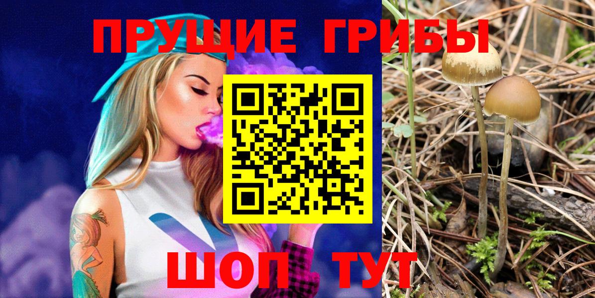 Псилоцибиновые грибы мицелий Чехов